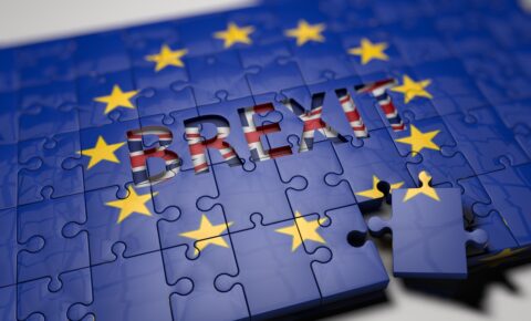 Cozma Consultants Brexit pasaport